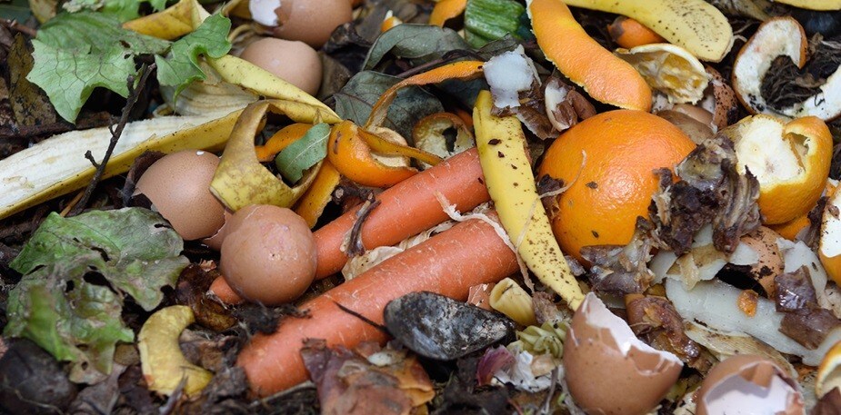 Gaspillage alimentaire